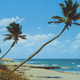 Image for article titled I Found A Postcard From 1979 And This Is Its Story